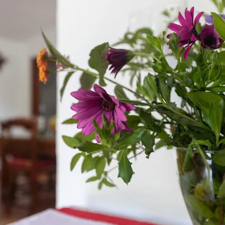 Aurora Villa Benarraba
